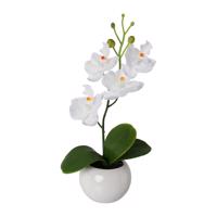 Gasper Umělá květina Orchidej v keramickém květináči, bílá,  21 cm