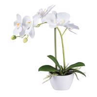 Gasper Umělá orchidej v bílém květináči, 33 cm, bílá