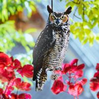 ego dekor Plašič ptáků Sova