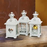 Lucerna paulina, bílá