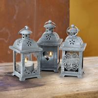 Lucerna paulina, šedá