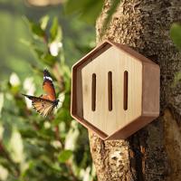 Motýlí dům se třemi otvory