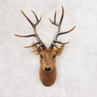Nástěnná dekorace hlava jelena