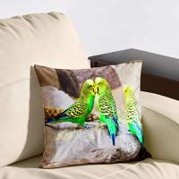 Povlak na polštář se zvuky andulky