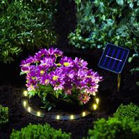 Solární světlo do záhonu