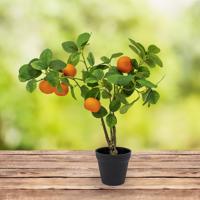 Umělý strom mandarinka