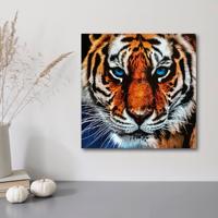 Weltbild Diamantové malování Tygr