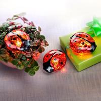 Weltbild LED skleněná beruška pro štěstí, sada 3 ks