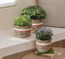 Weltbild Obal na květináč z mořské trávy, oranžový, sada 3 ks